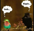 Picture for song 'WHEN I WAS YOUNG' by artist 'Barry'