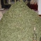 Picture for song 'WEED HEAD' by artist 'BAZZHead Beats'