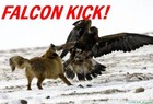 Picture for song '*CRAZY* Falcon Kick.::Free DL::.' by artist 'BeatMaker Thad Lee'