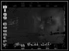 Picture for song 'Bigg Badd Wolf (Radio Version)' by artist 'Bigg Country aka BEAT MONSTA'