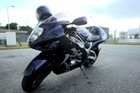 Picture for song 'Busa Flow' by artist 'BIG GORILLA GRODD'