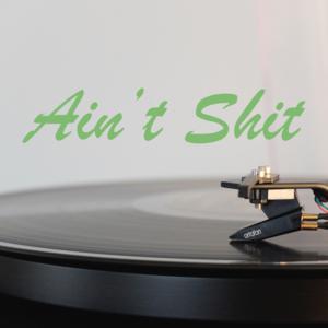 Picture for song 'Ain't Shit' by artist 'Birdswing Productions'
