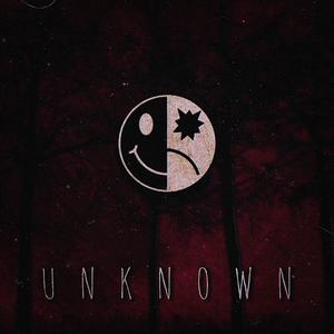 Picture for song '" U N K N O W N "' by artist 'B L A C K W 3 L L'
