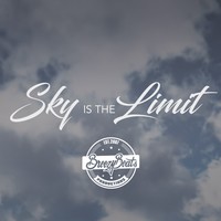 Picture for song 'Skys The Limit ' by artist 'Breezy Beats'