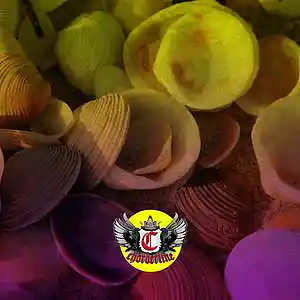 Picture for song 'SHELL (Dro Kenji The Weeknd Type Beat)' by artist 'Chorderline'