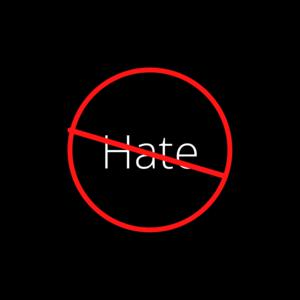 Picture for song 'Chris Wenk-stop the hate' by artist 'Christopher Charles Wenk'