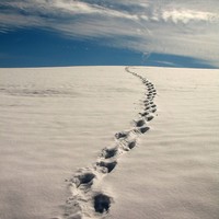 Picture for song 'Long Lost Friend' by artist 'Daggers and Gentlemen'