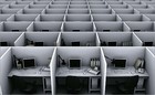 Picture for song 'Cubicle Monkey' by artist 'Darren West'