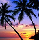 Picture for song 'Mystical Tropic by Precious wgbeats.com' by artist 'DCPro Beats'
