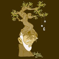 Picture for song 'Tee-8ch-C' by artist 'DieNamikZ of The Pros'