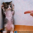 Picture for song 'Get Your Hands up ( Prod by DjHappy )' by artist 'Djhappybeatz'