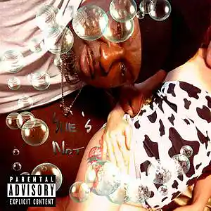 Picture for song 'She's Not (single)' by artist 'D-Ploy Records (Loud Boyz)'