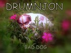 Picture for song 'Bad Dog DRUMNJON.mp3' by artist 'Drumnjon'