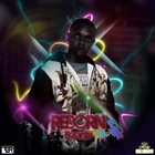 Picture for song '14 Baptism feat. stretch.dj, Berean, Nelfe' by artist 'Feenix 313'
