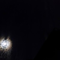 Picture for song 'Black Monday (demo/Silly mango edit)' by artist 'Geoffrey Johnson aka P.G.'