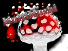 Picture for song 'RoBiNN - MultiMushi.mp3' by artist 'HalfCast Production'
