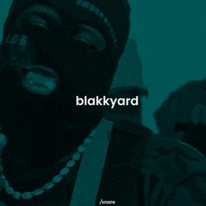 Picture for song 'blakkyard' by artist 'isnare'