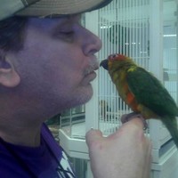 Picture for song 'Without Love' by artist 'JesseHaney'