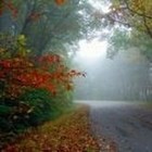 Picture for song 'moodswings chapter 2 (Lasse&Finn)' by artist 'Jonsson'