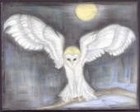 Picture for song 'White Owl's & Mooncoin (vs 1 J. Roos bouz. keybo.' by artist 'Jutta Roos'