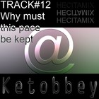 Picture for song 'Why must this pace be kept' by artist 'Ketobbey'