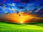 Picture for song 'In Memorian' by artist 'Klaatu (CT)'