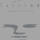 Picture for song 'Avidity in Chaos' by artist 'lacrimm'