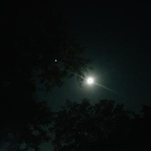 Picture for song 'down' by artist 'mont sy'