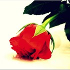 Picture for song '**Emotional** Since Your Gone (FREE/DL!!)' by artist 'Next Level Instrumentals'