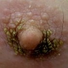Picture for song 'Nipple Filth.mp3' by artist 'Nick Caldwell And The Robot Drummer'