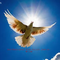 Picture for song 'straight forward - 28.02.16, 22.05' by artist 'Peter Kosta's Galaxy Rock Band'