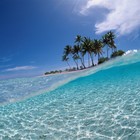 Picture for song 'Spring Break (0.99$ D\L)' by artist 'PLATINUM SELLERS BEATS'