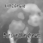 Picture for song 'Pursue the dream' by artist 'Rolf Eikeland'