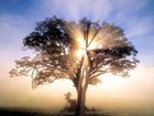 Picture for song 'Sunrise' by artist 'Scarecrow Beats'