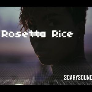 Picture for song 'Rosetta Rice' by artist 'ScarySoundBeatz'