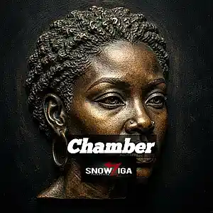 Picture for song 'Chamber' by artist 'snowziga'