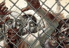 Picture for song 'Walking Dead' by artist 'Straight Paid Clique Entertainment'