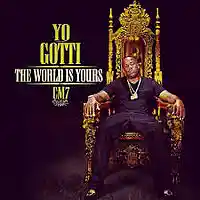 Picture for song 'THE WAITS OVA *YO GOTTI* SNIPP' by artist 'supamariobeatz'