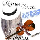 Picture for song 'Mobb Status (Tgrice Beat)' by artist 'tgricebeats'