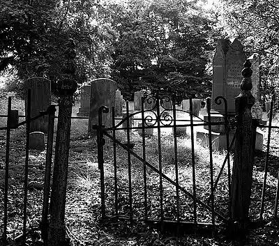 Picture for song 'rigor mortis (standing still)' by artist 'The Ebola ProJeKt'