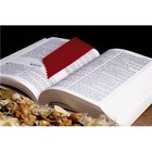 Picture for song '7 ROMANS.MP3' by artist 'The Living Word'