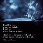 Picture for song 'Love Lost (6-15-11)' by artist 'THE SIDEFX BEATZ'