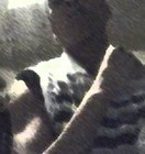 Picture for song 'Stomp a Mudhole' by artist 'Tiff da Jerk'