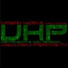 Picture for song 'UHP - Prince Of Persia' by artist 'Urban Home Production (SRB)'