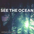 Picture for song 'Until We See The Ocean' by artist 'Vestascension'
