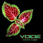 Picture for song 'Voide - Electric Jungle (feat. Pixieguts).mp3' by artist 'Voide'