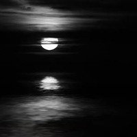 Picture for song 'Better Off Alone' by artist 'W4VE P4RTY'