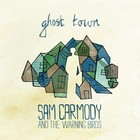 Picture for song 'Ghost Town.mp3' by artist 'Warning Birds'