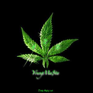 Picture for song '*420* (Young Ma$ta)' by artist 'Xcel Tha Xacutiona'