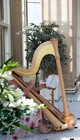 Picture for song 'Canon_in_D-Pachabel.mp3' by artist 'Xenia Horne Harpist'